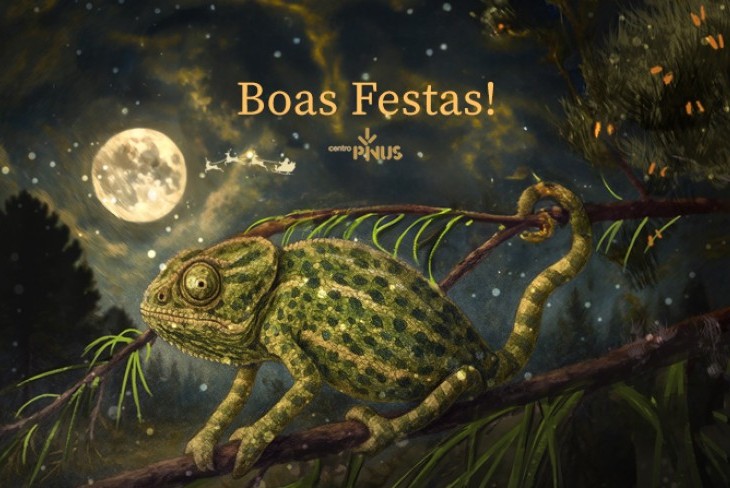 Votos de Boas Festas do Centro PINUS